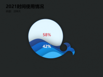 2021时间使用情况 []