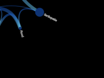Asia_chord [关系图]