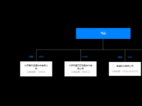 天眼查股权关系 [树图]