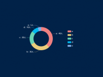 环形饼图 [饼图]